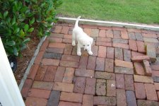 Baby Lyna (76).jpg