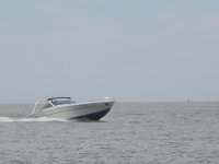CARYCRUISIN.jpg