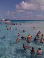 IMG_0713.jpg