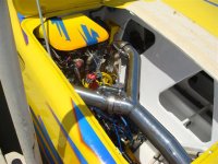 YELLOWCAT 006 (Small).jpg