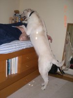 Lyna Up on Bed.JPG