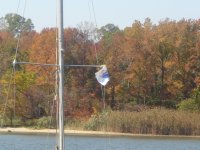 SailboteFlag6.jpeg