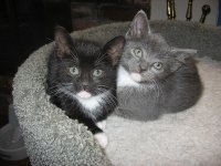 IMG_0582.JPG