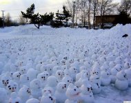 GlobalWarming.JPG