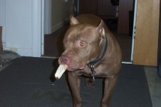 shady 001.jpg