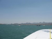 IMG_1206.jpg