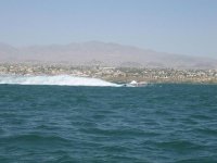 IMG_1223.jpg