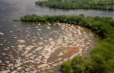 Barge party 1.jpg