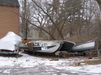 IMG_9242.jpg