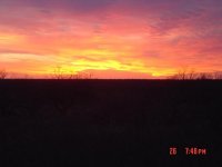 DSC02489.jpg