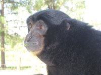 IMG_0321.jpg