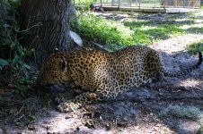 IMG_1811.jpg