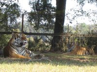 IMG_0632.jpg
