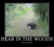 bear.jpg
