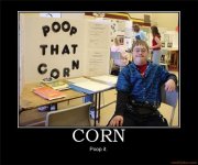 corn.jpg