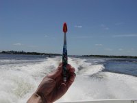 Batbrush%20Navesink.JPG