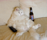 bobcat sofa.gif