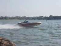 scarab8.jpg