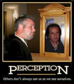 20SteczPerception.jpg