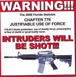 Castle Doctrine Decal 001.jpg