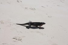 Ft Lauderdale to Turks & Caicos April 2009 094 [1600x1200].jpg