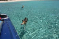 Bahamas May 2009 058 [Desktop Resolution].jpg