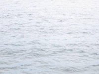 submarine race.jpg