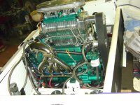 DSC00511.jpg