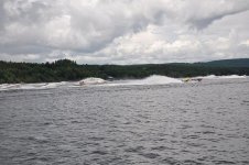 2009-6-27 530b.jpg