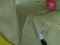 bladder3.jpg