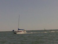 IMG00083.jpg