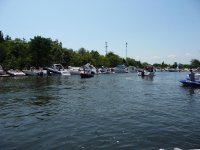 fcove1 020.jpg