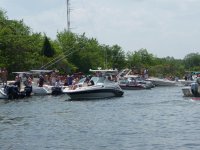 fcove1 009.jpg