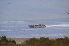 IMG_2063.jpg