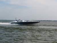 scarab11.jpg