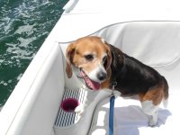 labor day weekend 09_03.jpg
