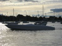 IMG_8252.jpg