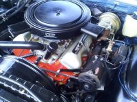 downsized_0912091327.jpg