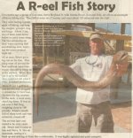 eel2.jpg