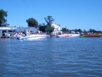 DSC01294.jpg