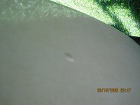 IMG_0187.jpg