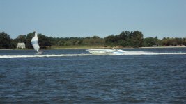 Misc 09 026.jpg