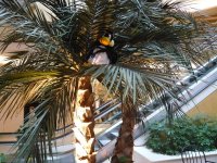Pengy shop'n trip! 019.jpg