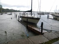 allegro high water.jpg