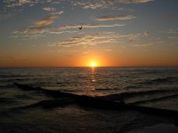 DSCN3588.jpg