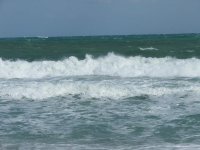 DSCF3428.jpg