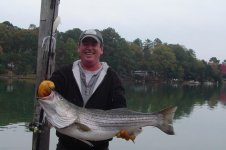 37' fish.jpg