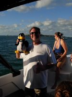 KW2009_penguin_02.jpg