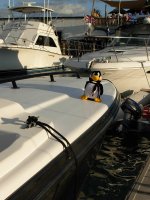 KW2009_penguin_06.jpg