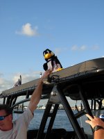 KW2009_penguin_07.jpg